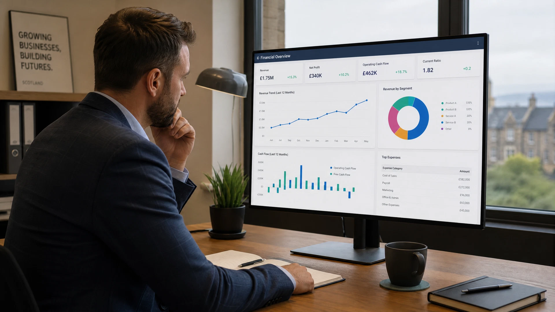Business Advisory - overview